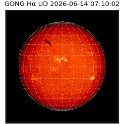 gong - 2026-06-14T07:10:02