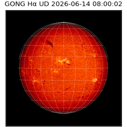 gong - 2026-06-14T08:00:02