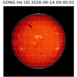 gong - 2026-06-14T09:00:02