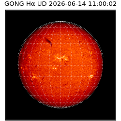 gong - 2026-06-14T11:00:02