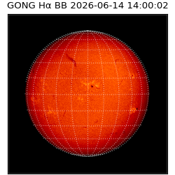 gong - 2026-06-14T14:00:02