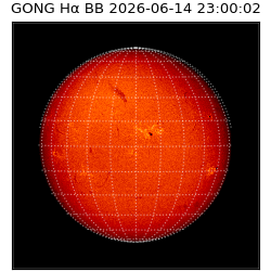 gong - 2026-06-14T23:00:02
