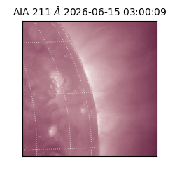 saia - 2026-06-15T03:00:09.622000