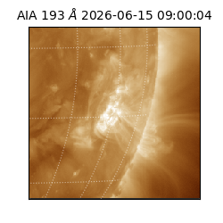 saia - 2026-06-15T09:00:04.842000