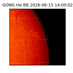 gong - 2026-06-15T14:00:02