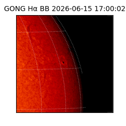 gong - 2026-06-15T17:00:02