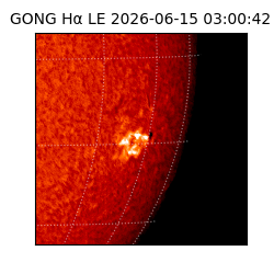 gong - 2026-06-15T03:00:42