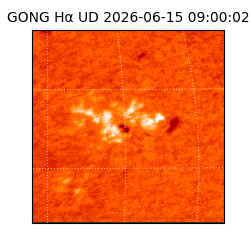 gong - 2026-06-15T09:00:02