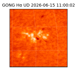 gong - 2026-06-15T11:00:02