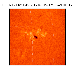 gong - 2026-06-15T14:00:02