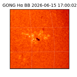 gong - 2026-06-15T17:00:02
