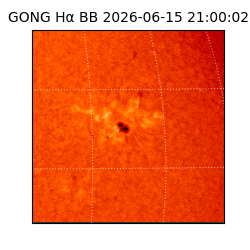 gong - 2026-06-15T21:00:02