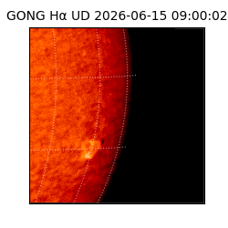 gong - 2026-06-15T09:00:02