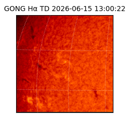 gong - 2026-06-15T13:00:22