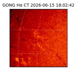 gong - 2026-06-15T18:02:42