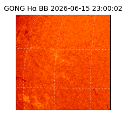 gong - 2026-06-15T23:00:02