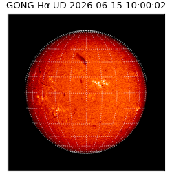 gong - 2026-06-15T10:00:02