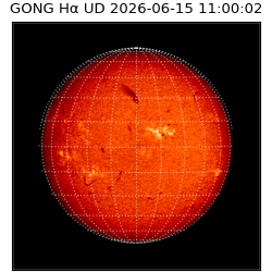 gong - 2026-06-15T11:00:02