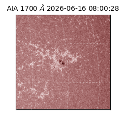 saia - 2026-06-16T08:00:28.715000