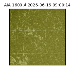 saia - 2026-06-16T09:00:14.123000