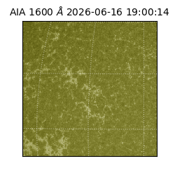 saia - 2026-06-16T19:00:14.123000