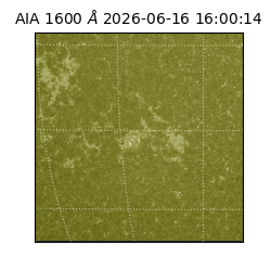 saia - 2026-06-16T16:00:14.130000