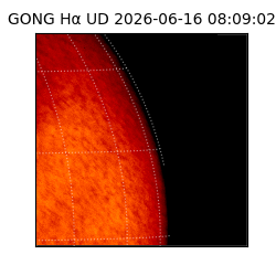 gong - 2026-06-16T08:09:02