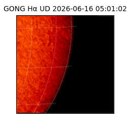 gong - 2026-06-16T05:01:02