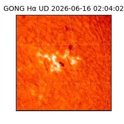 gong - 2026-06-16T02:04:02