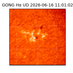 gong - 2026-06-16T11:01:02