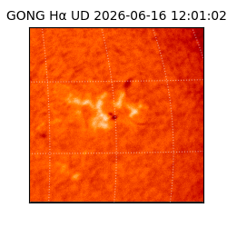 gong - 2026-06-16T12:01:02