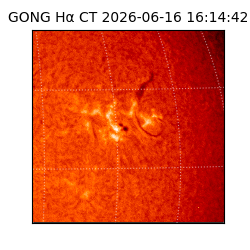 gong - 2026-06-16T16:14:42