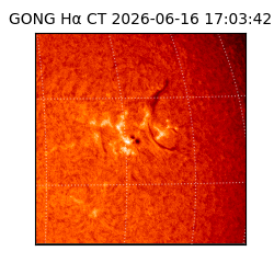 gong - 2026-06-16T17:03:42