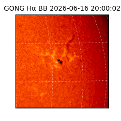 gong - 2026-06-16T20:00:02