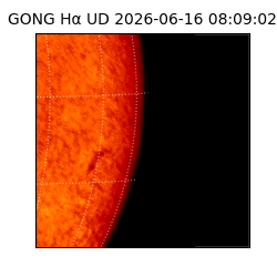 gong - 2026-06-16T08:09:02