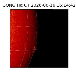 gong - 2026-06-16T16:14:42