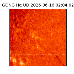gong - 2026-06-16T02:04:02