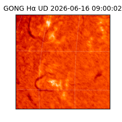 gong - 2026-06-16T09:00:02