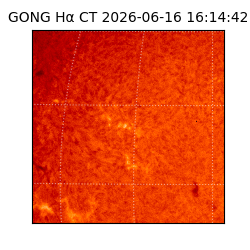 gong - 2026-06-16T16:14:42