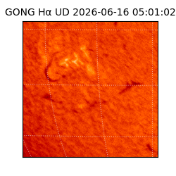 gong - 2026-06-16T05:01:02