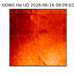 gong - 2026-06-16T08:09:02