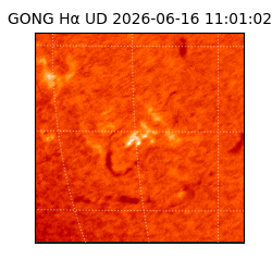 gong - 2026-06-16T11:01:02