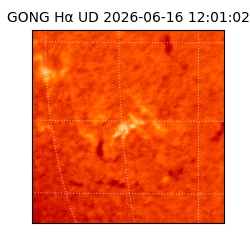 gong - 2026-06-16T12:01:02