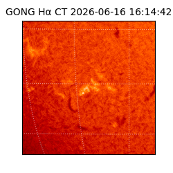 gong - 2026-06-16T16:14:42
