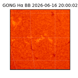 gong - 2026-06-16T20:00:02