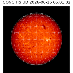 gong - 2026-06-16T05:01:02