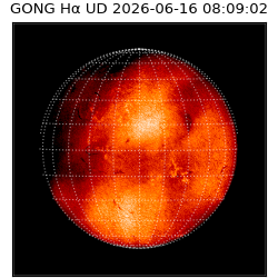gong - 2026-06-16T08:09:02