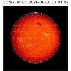 gong - 2026-06-16T11:01:02