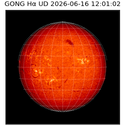 gong - 2026-06-16T12:01:02