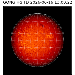 gong - 2026-06-16T13:00:22